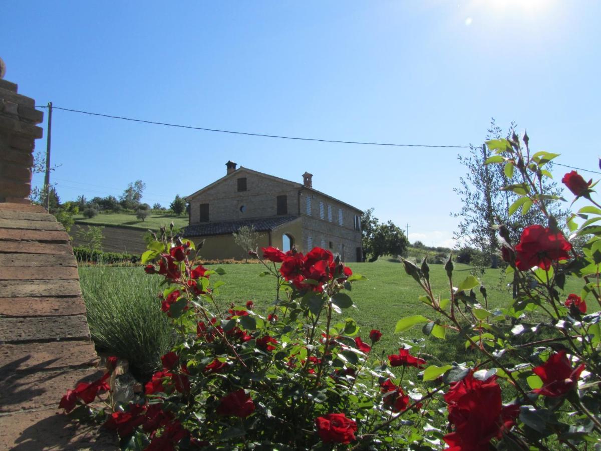 Agriturismo La Vecchia Fonte 카스텔벨리노 외부 사진