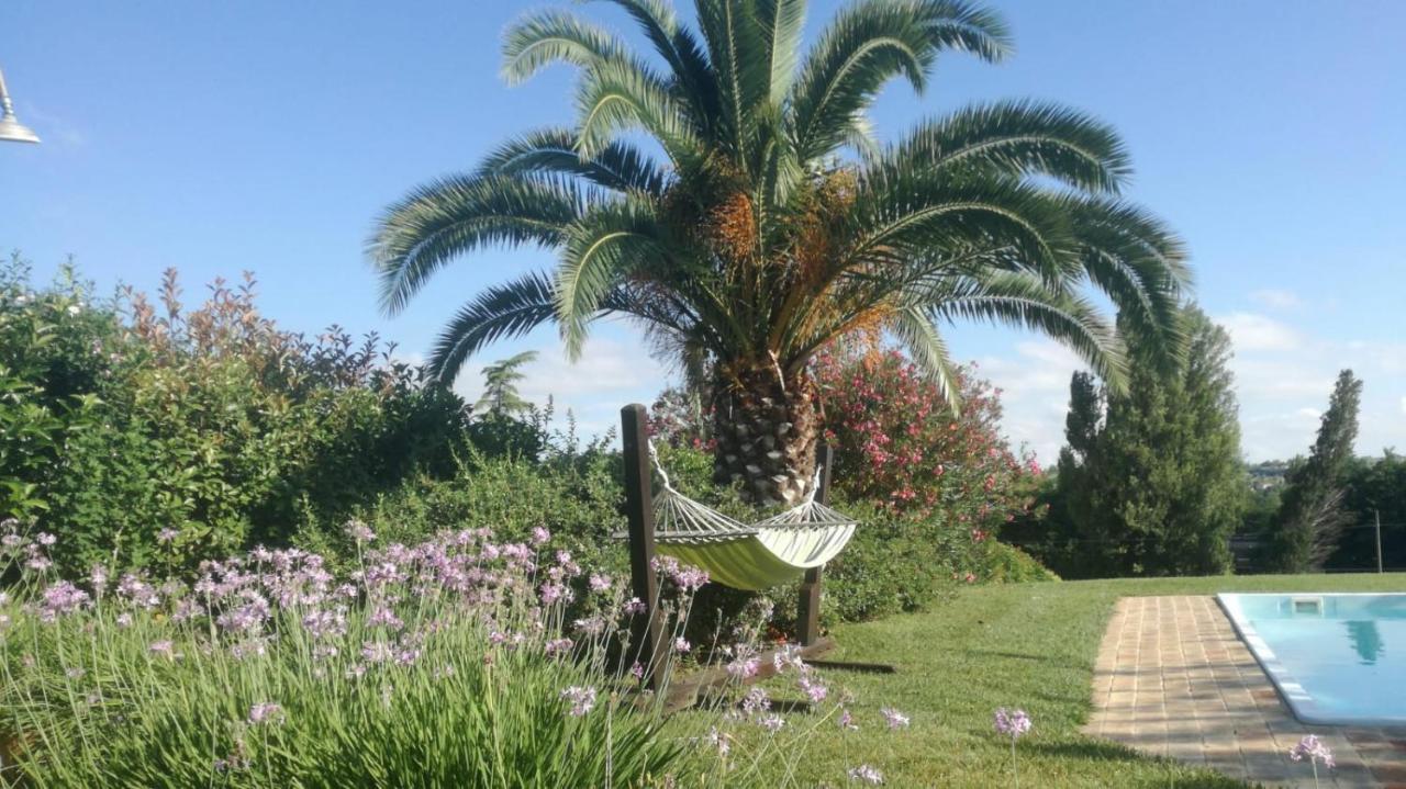 Agriturismo La Vecchia Fonte 카스텔벨리노 외부 사진