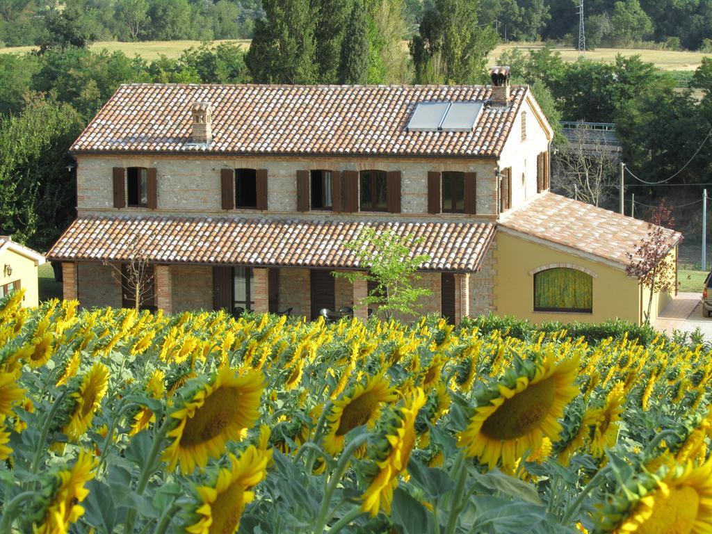 Agriturismo La Vecchia Fonte 카스텔벨리노 외부 사진